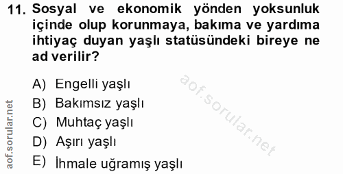 Soru 11