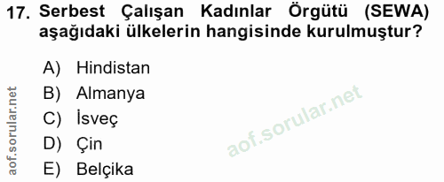 Soru 17