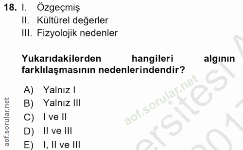 Soru 18