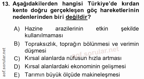 Soru 13