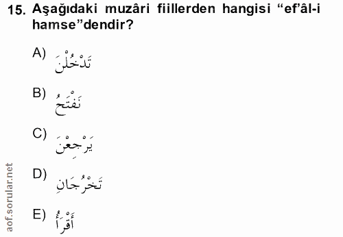 Soru 15