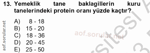 Soru 13