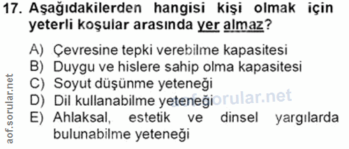 Soru 17