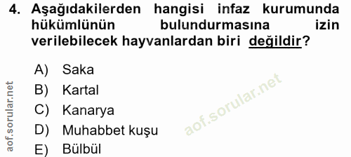 Soru 4
