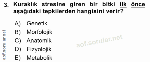 Soru 3