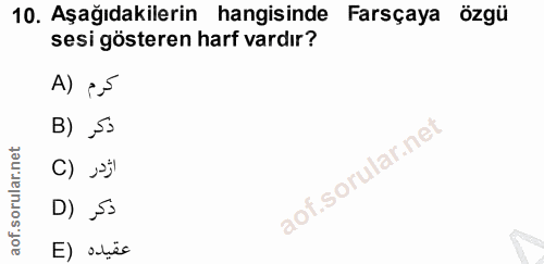 Soru 10