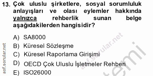 Soru 13