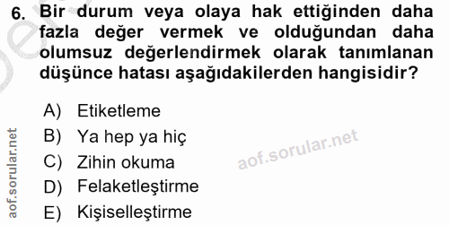 Soru 6