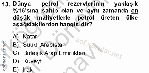 Soru 13