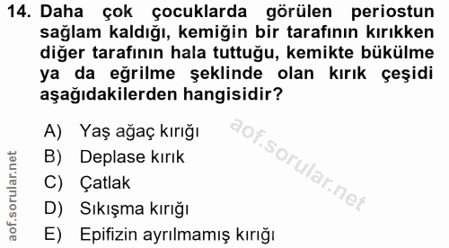 Soru 14