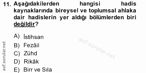 Soru 11