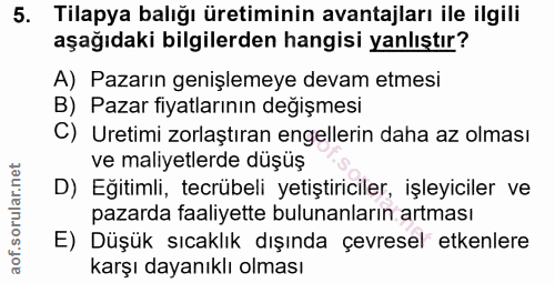 Soru 5