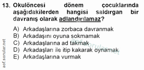 Soru 13