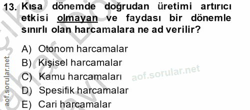 Soru 13