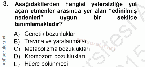 Soru 3