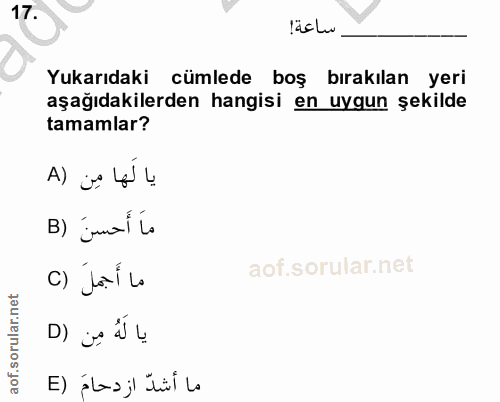Soru 17
