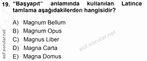 Soru 19