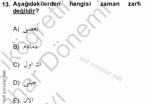 Soru 13