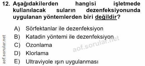 Soru 12