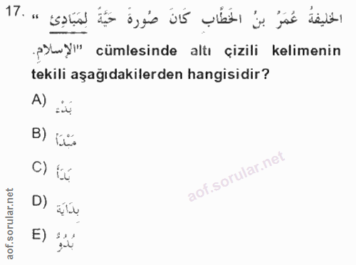 Soru 17