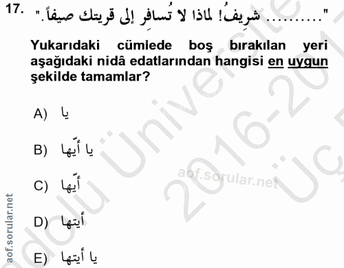Soru 17