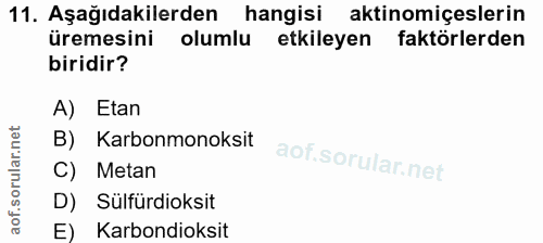 Soru 11