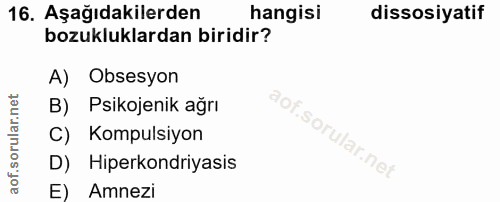 Soru 16