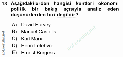 Soru 13