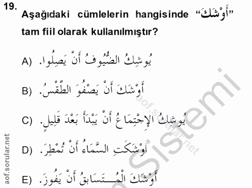 Soru 19