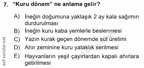 Soru 7
