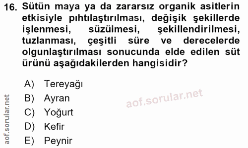 Soru 16