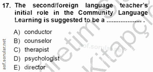 Soru 17