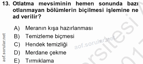 Soru 13