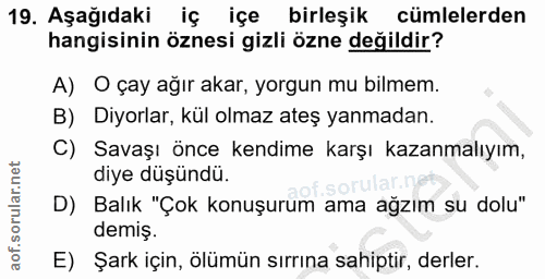 Soru 19