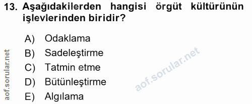 Soru 13