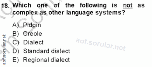 Soru 18