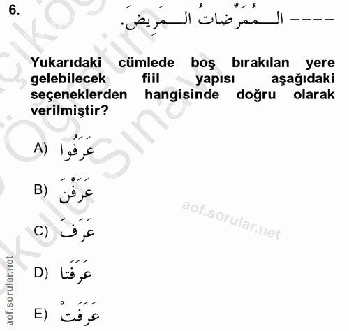 Soru 6
