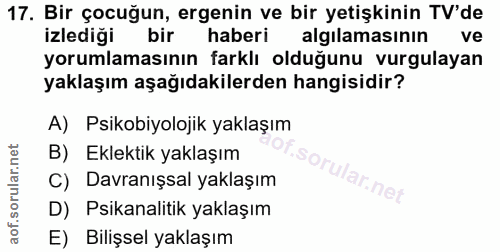 Soru 17