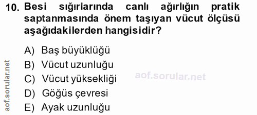 Soru 10