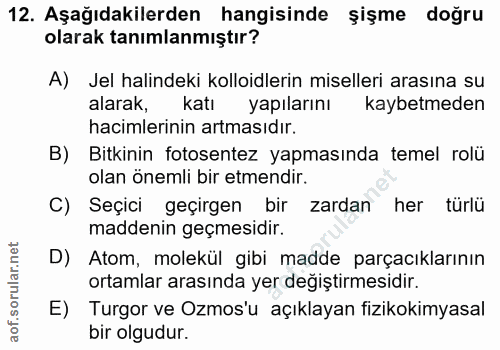 Soru 12