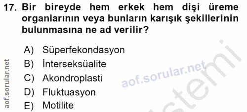 Soru 17