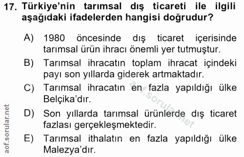 Soru 17