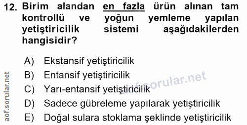 Soru 12