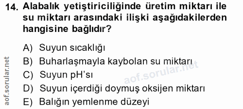Soru 14