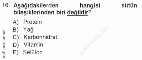 Soru 16