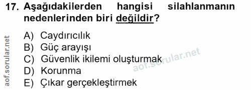 Soru 17