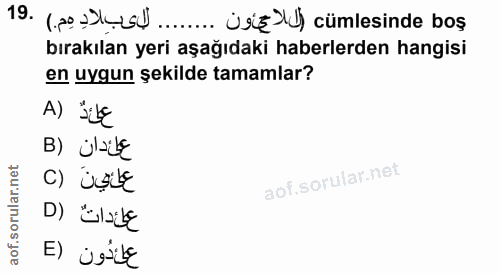 Soru 19