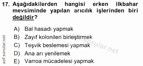 Soru 17