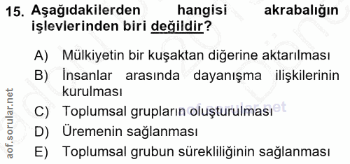 Soru 15
