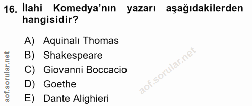 Soru 16